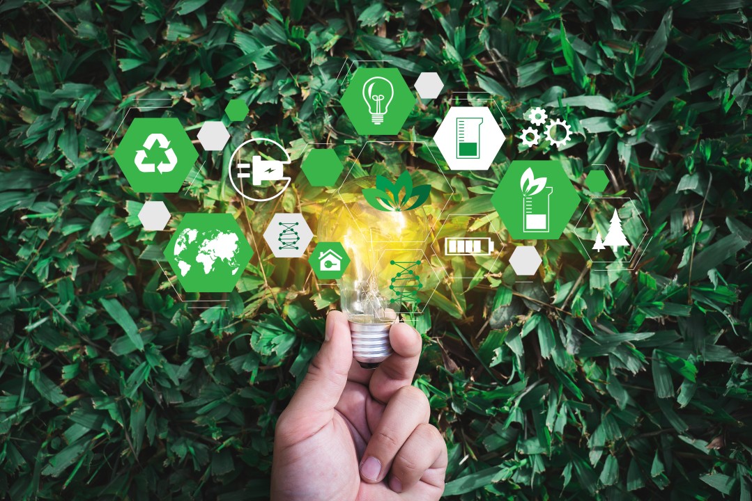 Green IT: Sustainable Practices in Information Technology