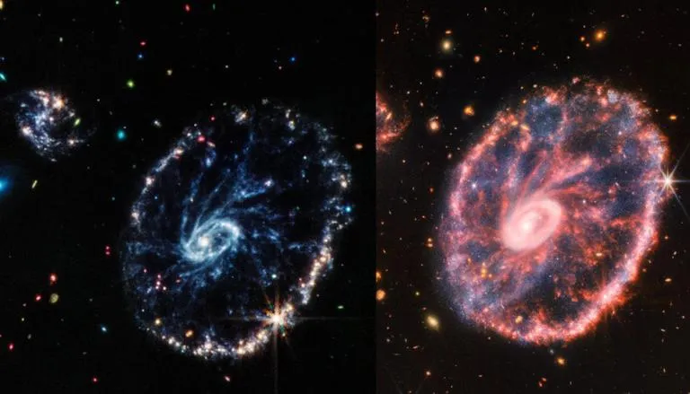 Scientists Confirm Type II Supernova in Cartwheel Galaxy