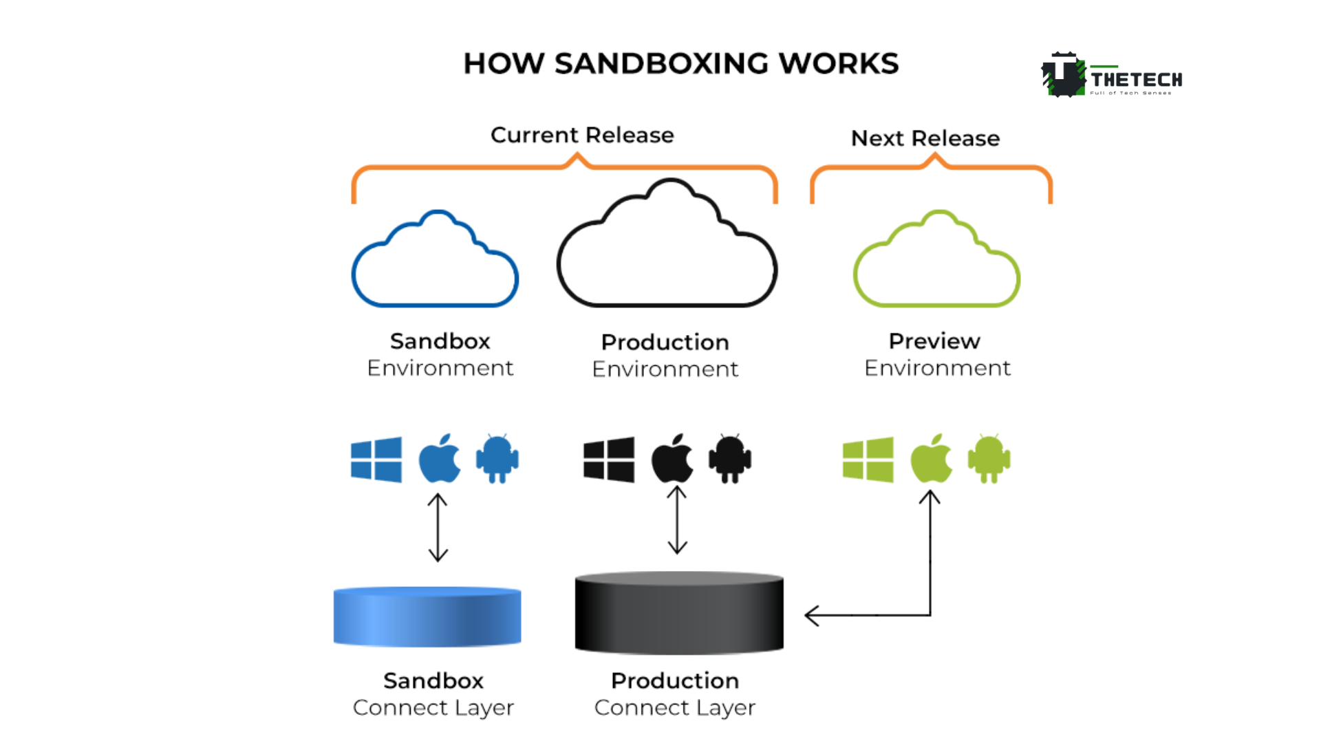 Network Sandbox