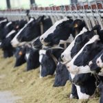 China Pakistan Agriculture Cooperation 2026