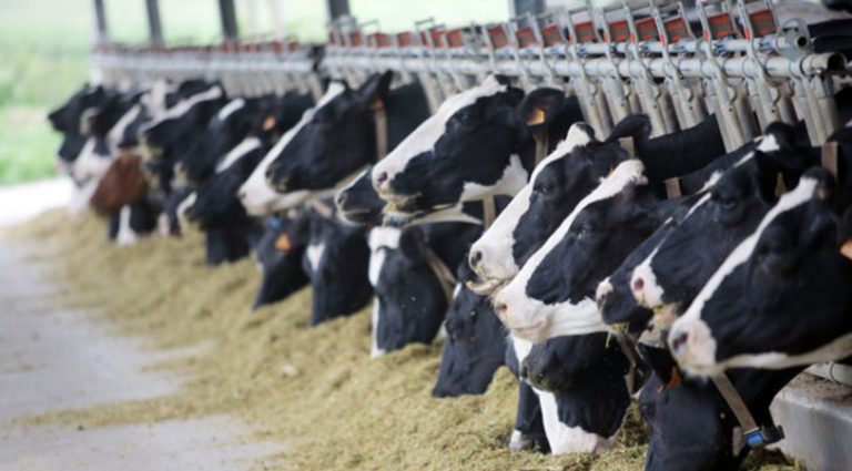 China Pakistan Agriculture Cooperation 2026