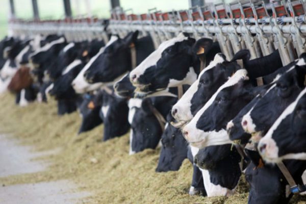 China Pakistan Agriculture Cooperation 2026